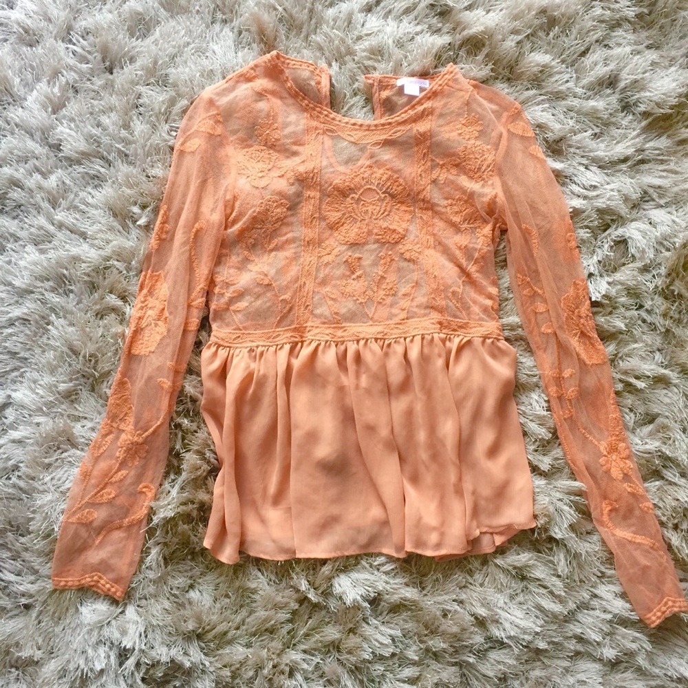 Sheer Embroidered Top
